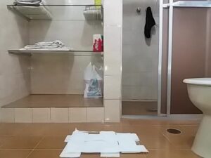 Free Scat Porn