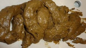Free Scat Porn