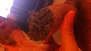 Free Scat Porn