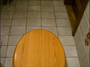 Free Scat Porn