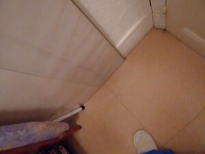 Free Scat Porn