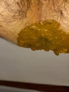 Free Scat Porn