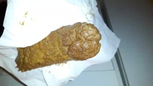 Free Scat Porn