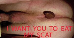 Free Scat Porn