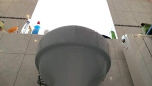 Free Scat Porn