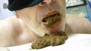Free Scat Porn