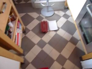 Free Scat Porn
