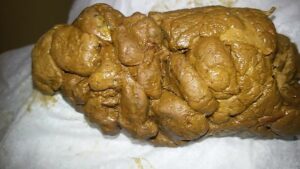Free Scat Porn