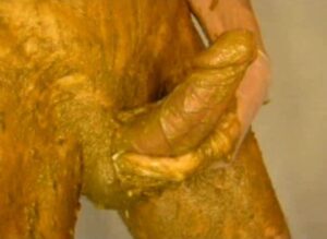 Free Scat Porn