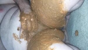 Free Scat Porn