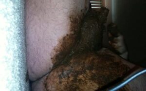 Free Scat Porn