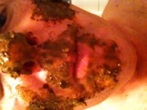Free Scat Porn