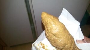 Free Scat Porn