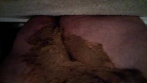 Free Scat Porn