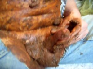 Free Scat Porn