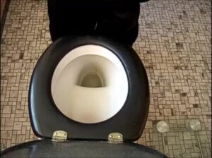 Free Scat Porn