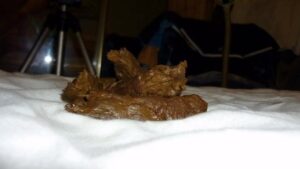 Free Scat Porn