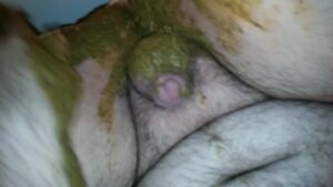 Free Scat Porn