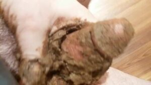 Free Scat Porn