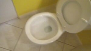 Free Scat Porn