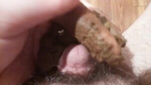 Free Scat Porn