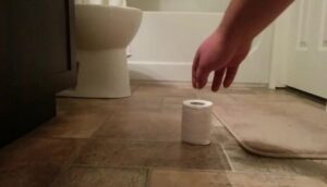 Free Scat Porn