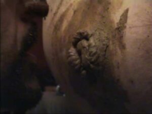 Free Scat Porn