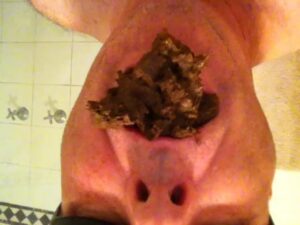 Free Scat Porn