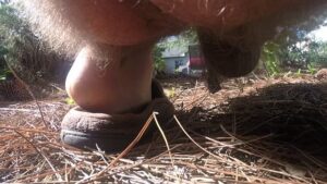 Free Scat Porn