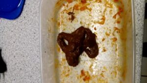 Free Scat Porn