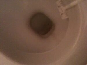 Free Scat Porn