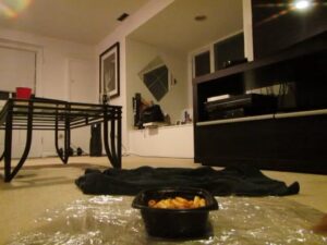 Free Scat Porn