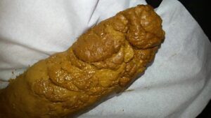 Free Scat Porn