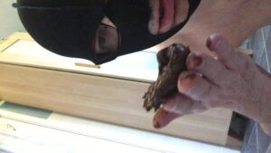 Free Scat Porn