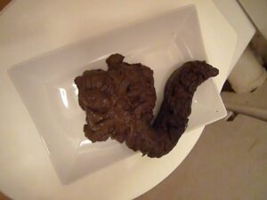 Free Scat Porn