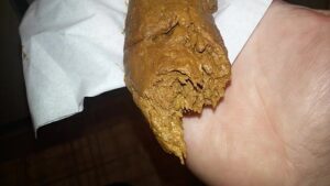 Free Scat Porn