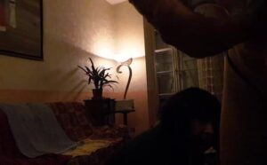 Free Scat Porn
