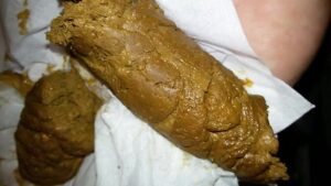 Free Scat Porn
