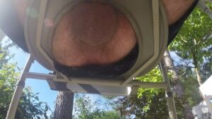 Free Scat Porn