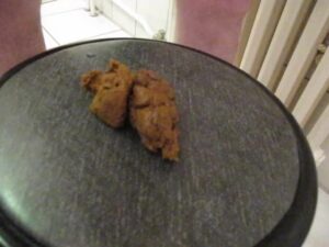 Free Scat Porn