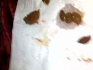 Free Scat Porn