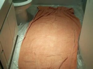 Free Scat Porn