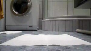Free Scat Porn