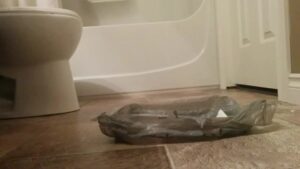 Free Scat Porn
