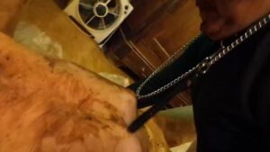 Free Scat Porn