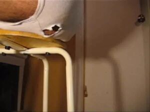 Free Scat Porn