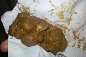 Free Scat Porn