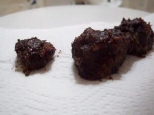 Free Scat Porn