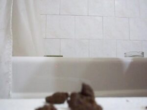 Free Scat Porn