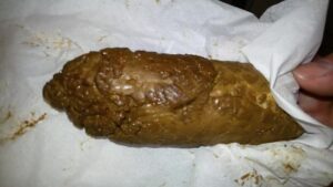 Free Scat Porn